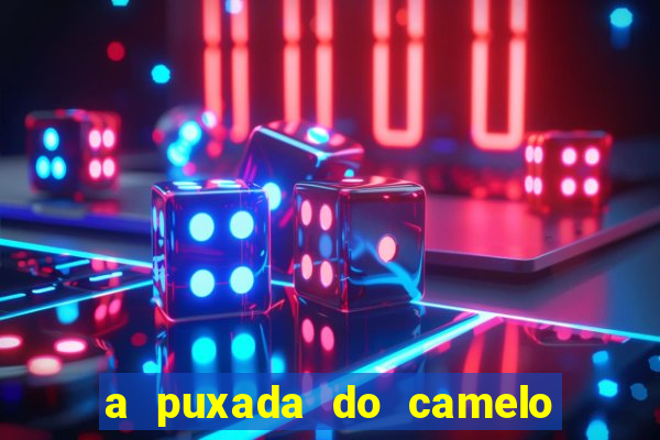 a puxada do camelo no jogo do bicho